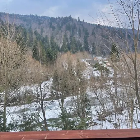 затишна De Luxe Villa Mykulychyn
