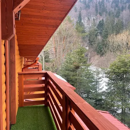 Villa затишна De Luxe Mykulychyn