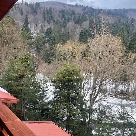 затишна De Luxe Villa