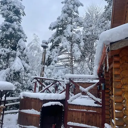 Villa затишна De Luxe