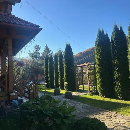 затишна De Luxe Villa Mykulychyn