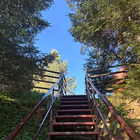 Villa затишна De Luxe Mikulicsin