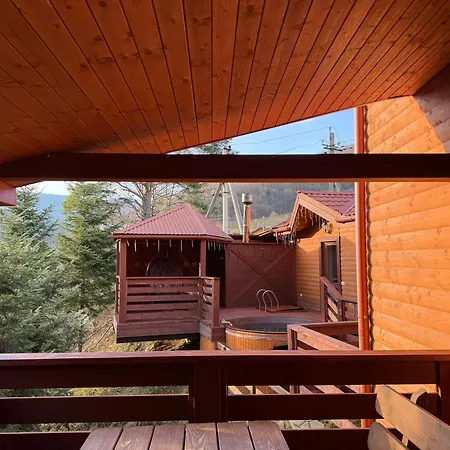 Villa затишна De Luxe