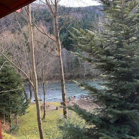 затишна De Luxe Villa *