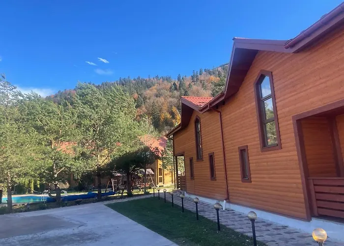 Villa затишна De Luxe Mykulychyn