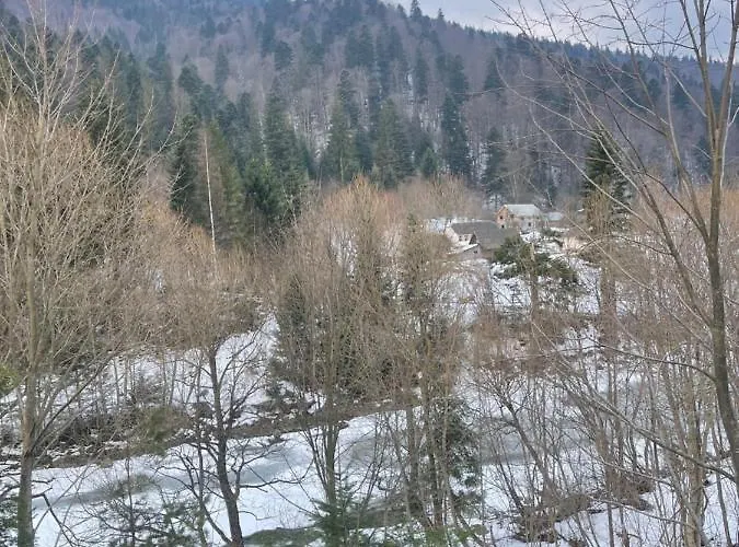 затишна De Luxe Villa Mikulicsin