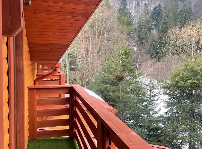 Villa затишна De Luxe Mikulicsin