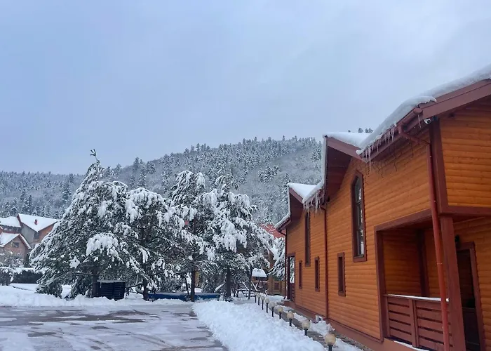 Villa затишна De Luxe *