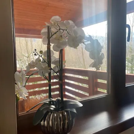 затишна De Luxe فيلة *